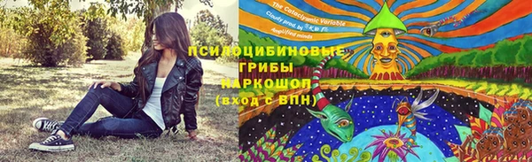 соль ск Абдулино