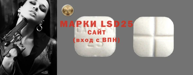 ECSTASY Галич