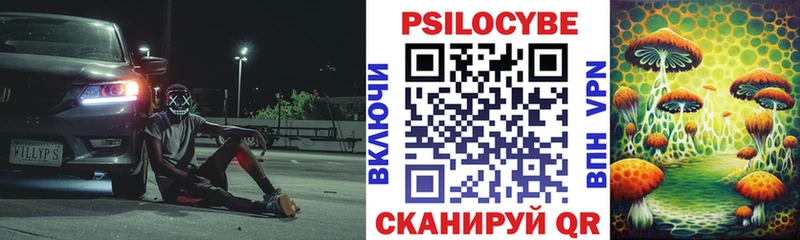 Псилоцибиновые грибы мицелий  Циолковский 